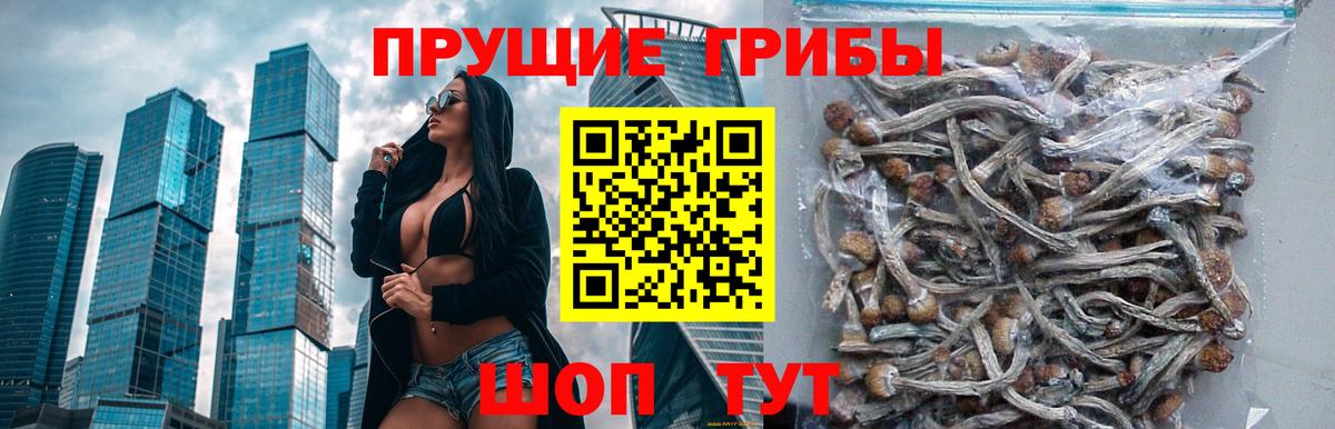 Галлюциногенные грибы мицелий Саранск